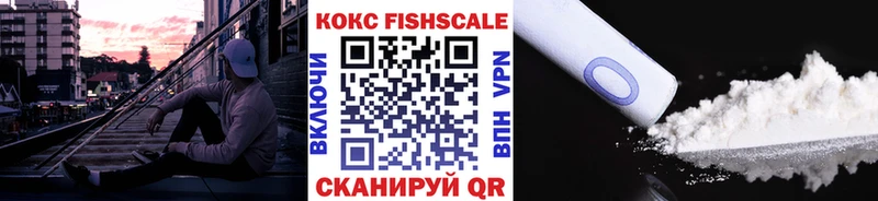 Купить  Вичуга  COCAIN Fish Scale 