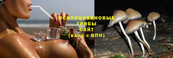 не бодяженный Гусев