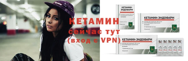 хмурый Гусь-Хрустальный