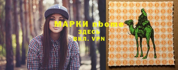 хмурый Гусь-Хрустальный