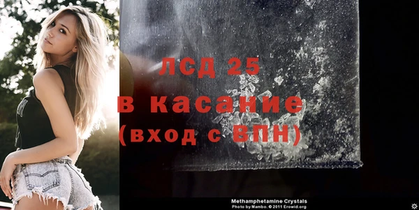 хмурый Гусь-Хрустальный