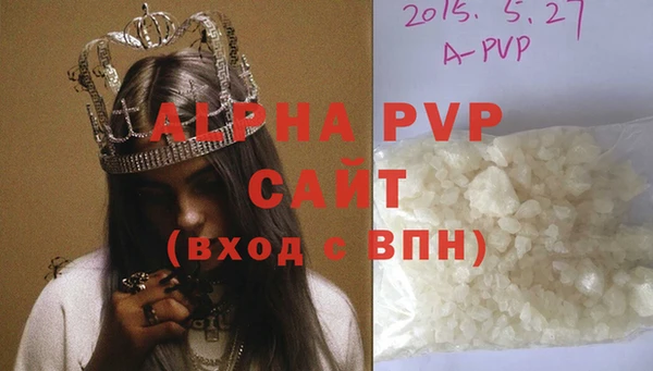 хмурый Гусь-Хрустальный