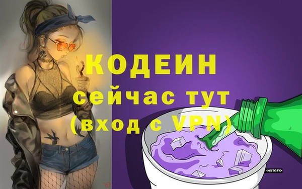 не бодяженный Гусев