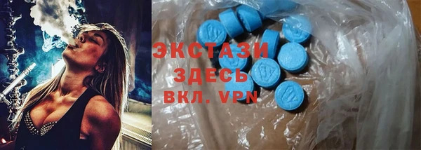 хмурый Гусь-Хрустальный