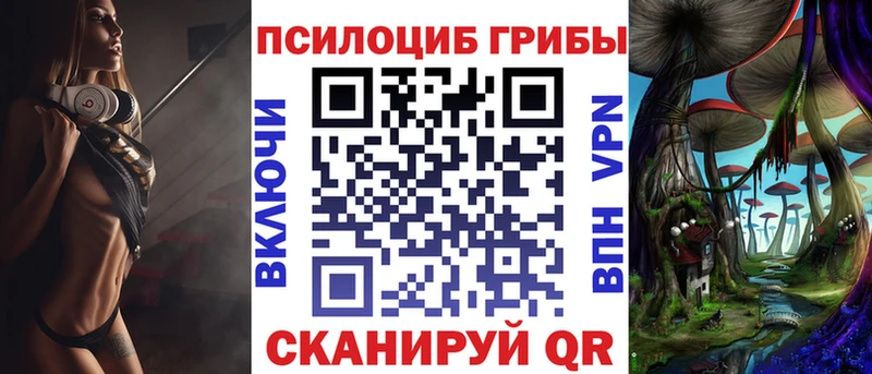 Псилоцибиновые грибы Cubensis  Купить  Вичуга 